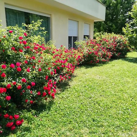 B&B Terra Del Sole Valmontone Exterior photo