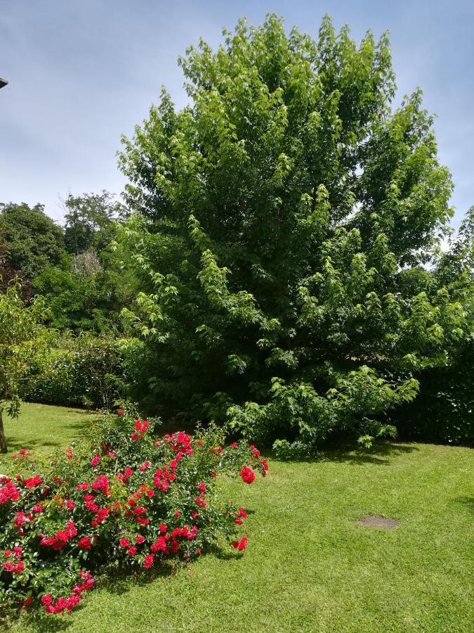 B&B Terra Del Sole Valmontone Exterior photo
