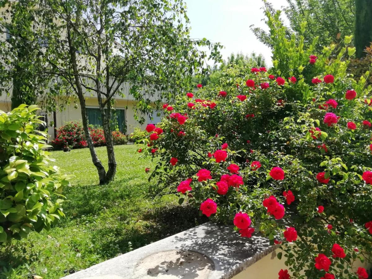 B&B Terra Del Sole Valmontone Exterior photo