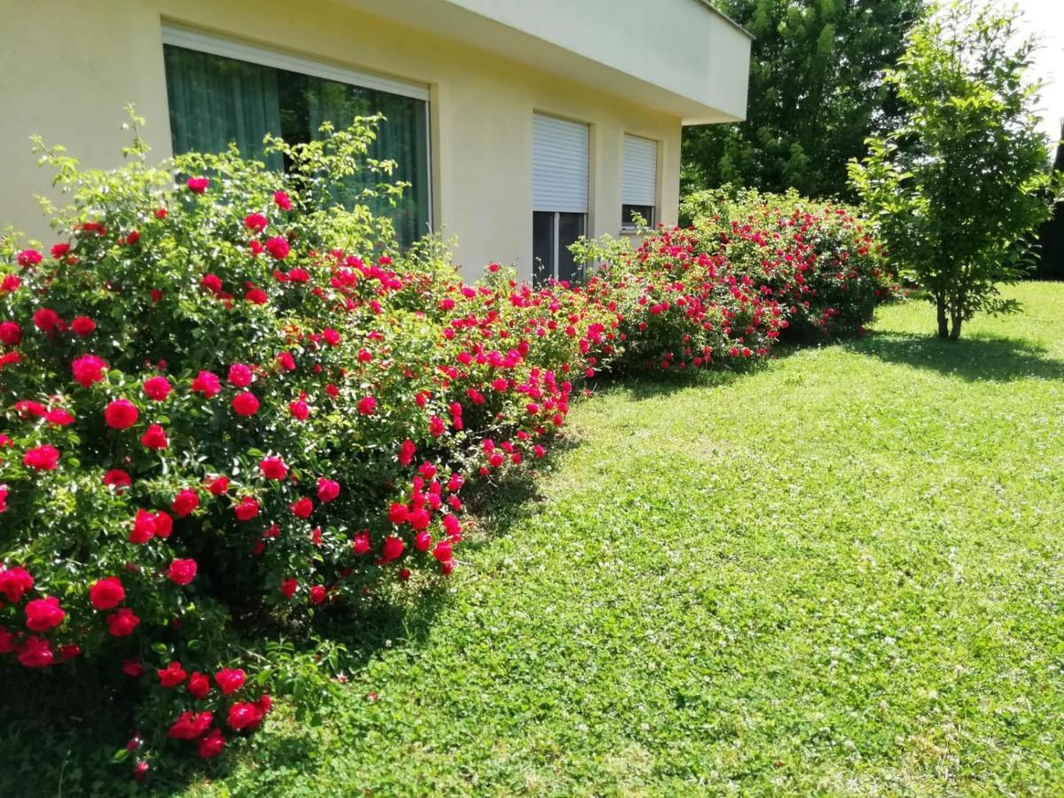 B&B Terra Del Sole Valmontone Exterior photo